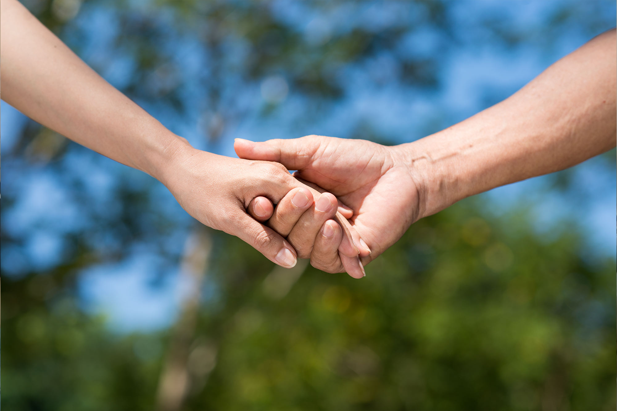 Support Groups for Families of Addicts